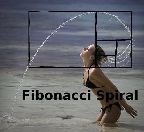 fake-gold-but-truly-hot: a woman in a bikini, standing in shallow sea water, throws her head back and flicks her hair, the spray making an arc; over the photo is a rectangle divided into squares, and the words "Fibonacci Spiral"