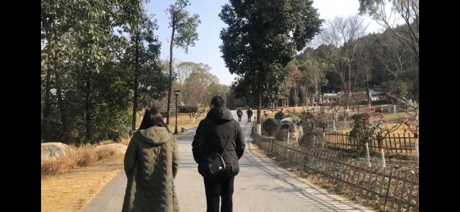 Two people in winter coats walk away from the camera along a sunny, tree-lined park path