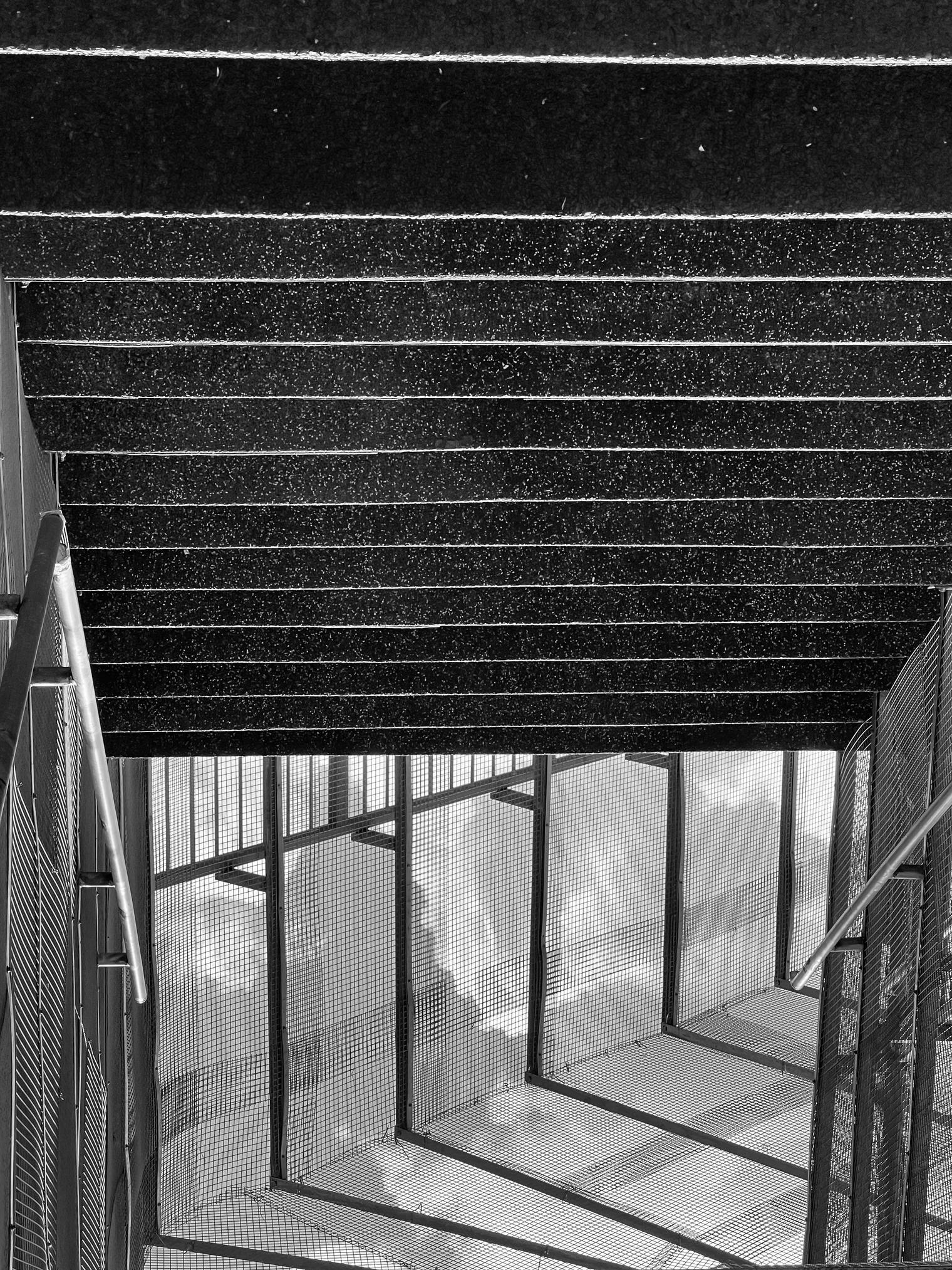 Black-and-white photo: the underside of a staircase seen from below, its steps forming horizontal bands above a stairwell fenced with wire mesh