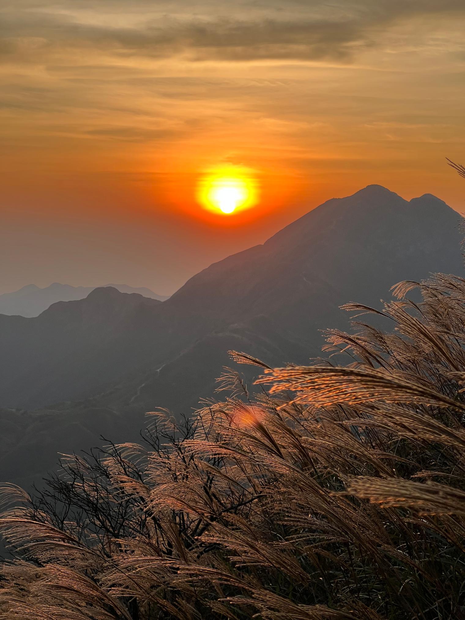 Silvergrass glowing on a hilltop as the sun sets over layered mountains
