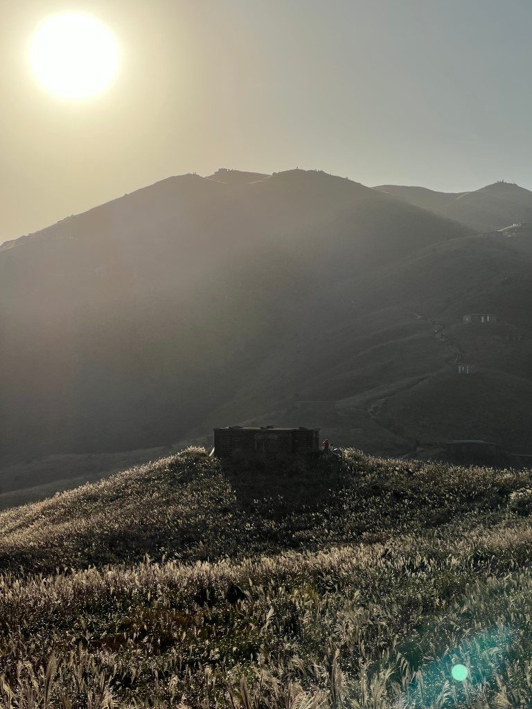 Sunlit slopes covered in silvergrass, a stone hut on the rise and a winding ridge beyond
