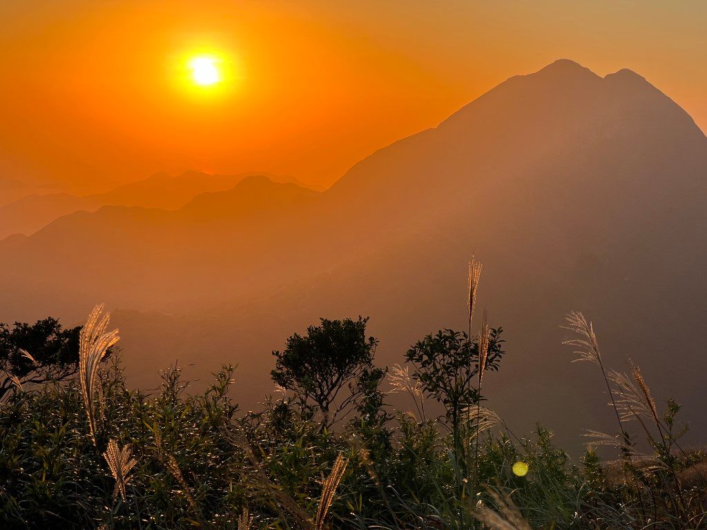 Silvergrass and shrubs backlit on a hilltop, the orange sun hanging over layered mountain silhouettes