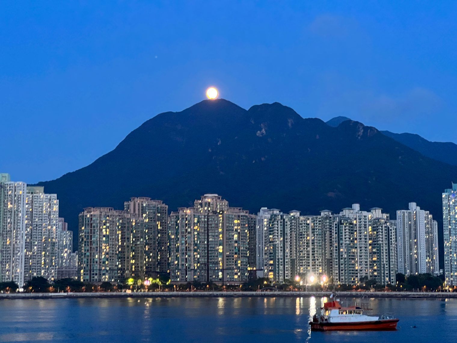 Blue hour: a full moon sitting right on the peak of Ma On Shan, the tower blocks at its foot lit up