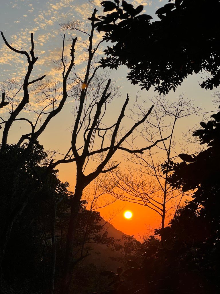 On a wooded hillside, the sun setting into a valley between bare branches